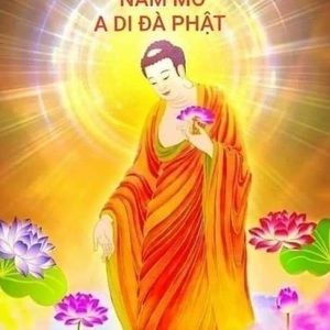 Meet your Posher, Nhuanphuoc